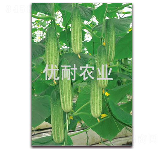 ��(y��u)��901-�S�ϷN��-��(y��u)���r(n��ng)�I(y��)