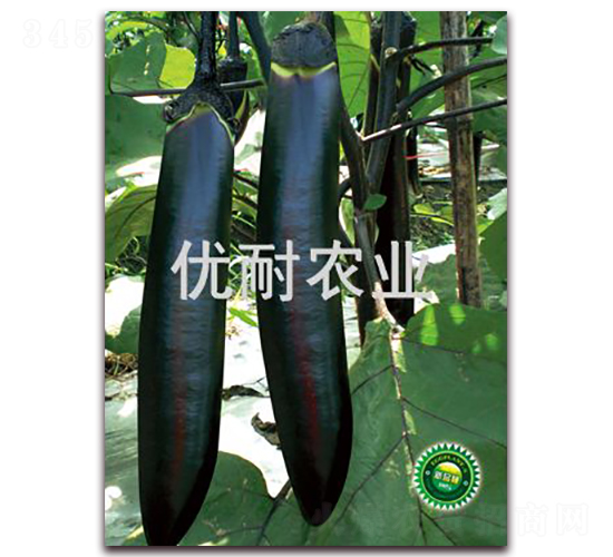 ��(y��u)��ī��1016-���ӷN��-��(y��u)���r(n��ng)�I(y��)