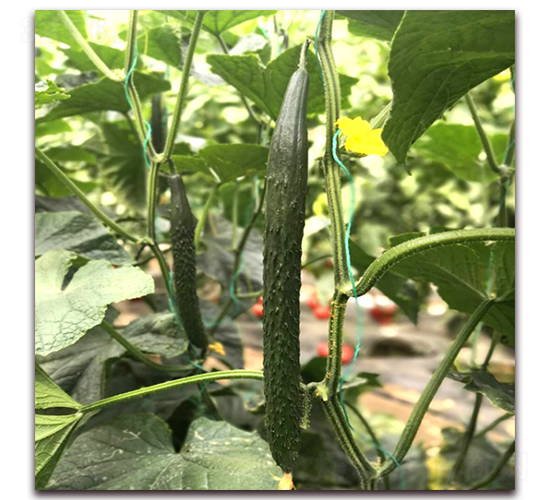 ��������571-�S�ϷN��-� ��r(n��ng)�I(y��)