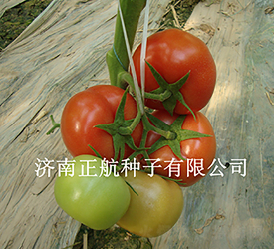 8848-����TY��t���ѷN��-����