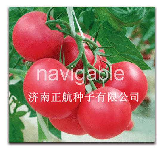 �ی�88-�۹����ѷN��-����