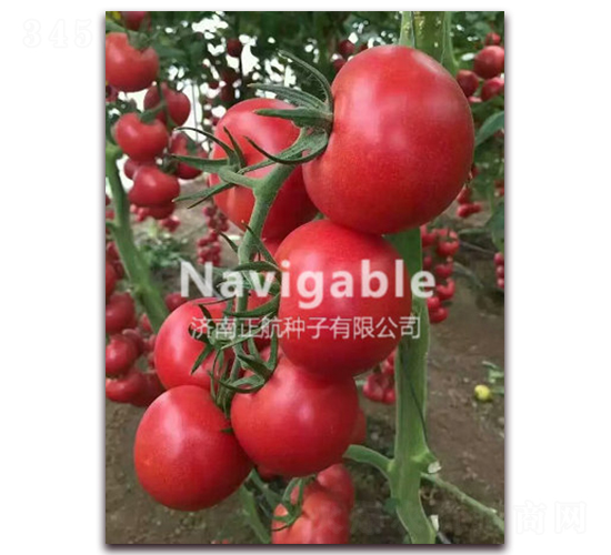 K214-�۹����ѷN��-����