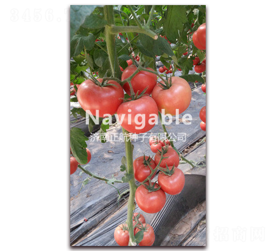 ����-�۹����ѷN��-����