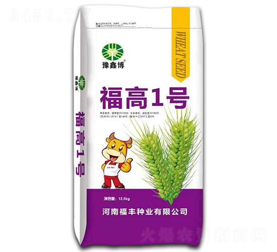 12.5kg福高1號(hào)-小麥種子-豫鑫博