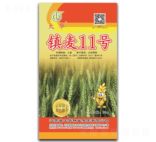 鎮(zhèn)麥11號(hào)-小麥種子-大華種業(yè)