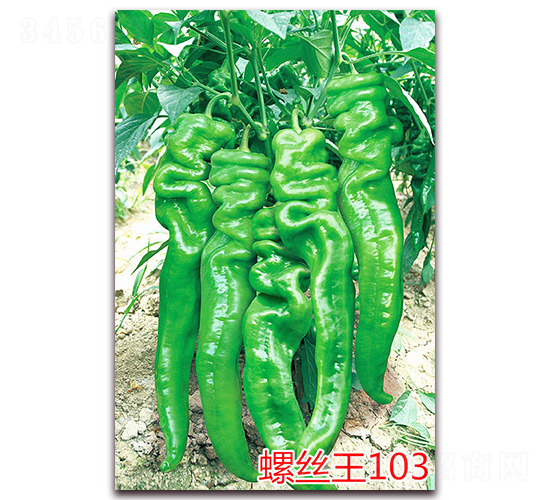 �ݽz��103-�����N��-�f���r(n��ng)�I(y��)