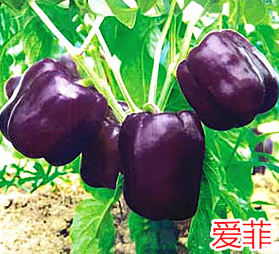 ��(��i)��-�����N��-�f(w��n)���r(n��ng)�I(y��)