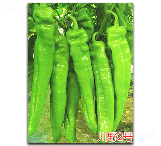 ��Ұ2̖(h��o)-�����N��-�f(w��n)���r(n��ng)�I(y��)