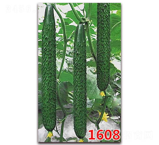 1608-�S�ϷN��-�f(w��n)���r(n��ng)�I(y��)