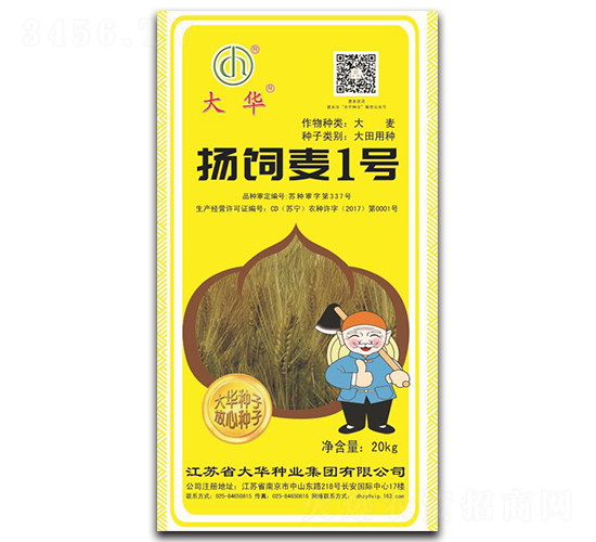 揚飼麥1號-大麥種子-大華種業(yè)