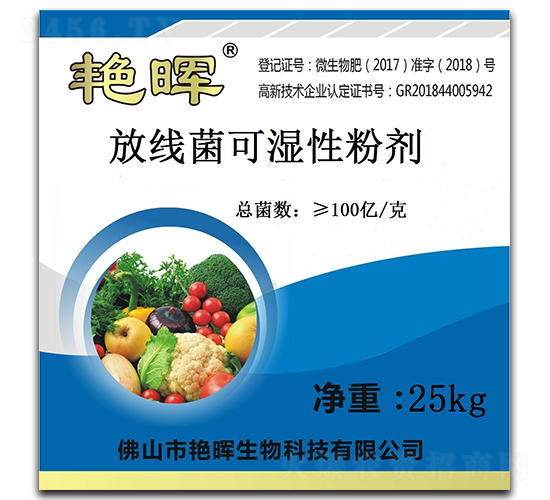 �ž����ɝ��Էۄ�-�G������