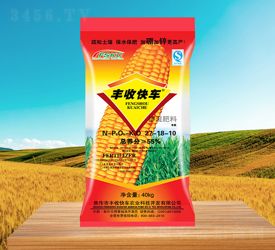 ���׌��Ó����27-8-10-�S�տ�܇