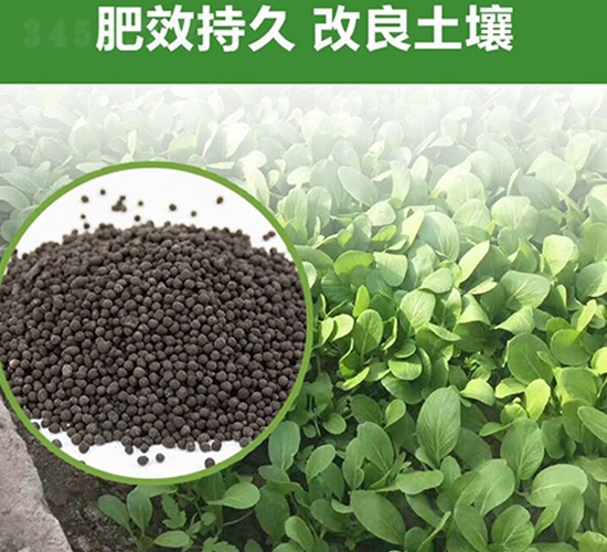 果樹有機肥-富瑞豐