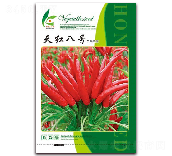 ��t��̖(h��o)-�����N��-�t�l(f��)�N�I(y��)