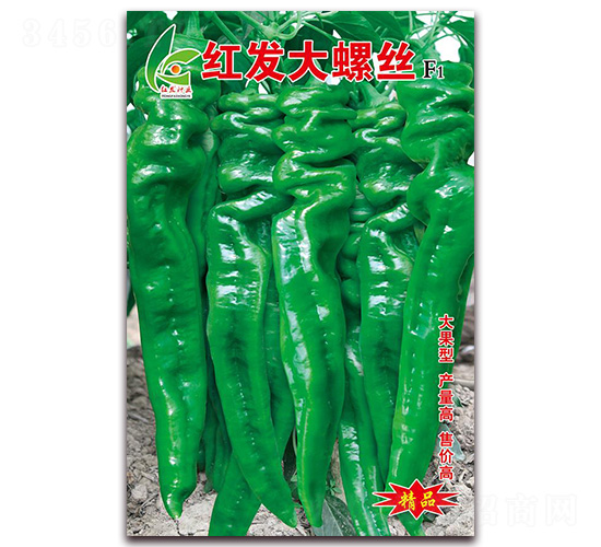 �t�l(f��)���ݽz-�����N��-�t�l(f��)�N�I(y��)