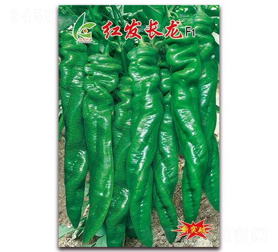 �t�l(f��)�L(zh��ng)��-�����N��-�t�l(f��)�N�I(y��)