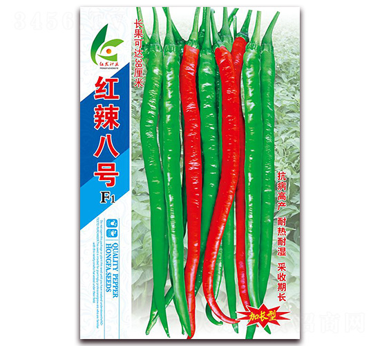 �t����̖(h��o)-�����N��-�t�l(f��)�N�I(y��)