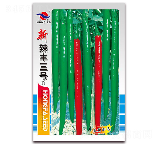 �����S��̖-�����N��-�t�l(f��)�N�I(y��)