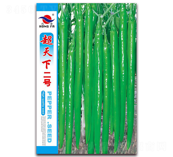 �����¶�̖-�����N��-�t�l(f��)�N�I(y��)