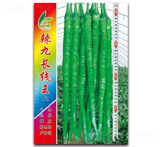 �����L����-�����N��-�t�l(f��)�N�I(y��)