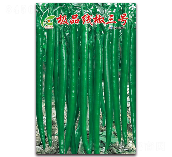 �OƷ������̖-�����N��-�t�l(f��)�N�I(y��)