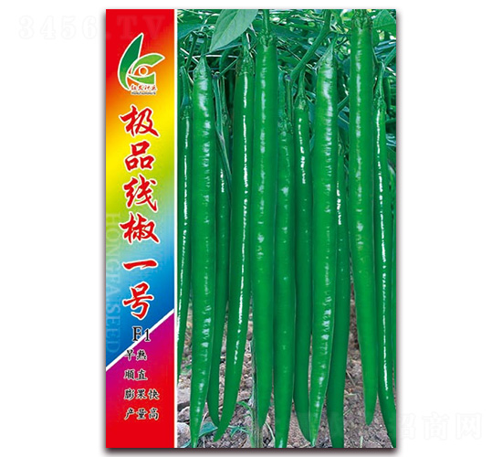 �OƷ����һ̖(h��o)-�����N��-�t�l(f��)�N�I(y��)