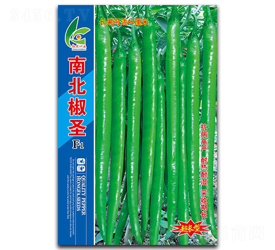 �ϱ���ʥ-�����N��-�t�l(f��)�N�I(y��)