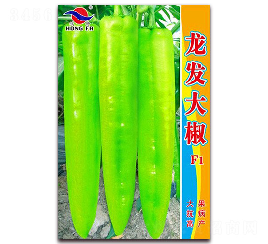 ���l(f��)��-�⽷�N��-�t�l(f��)�N�I(y��)