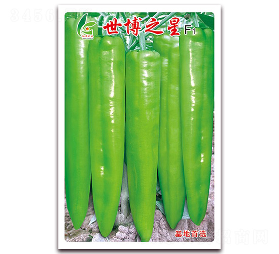 ����֮��-�⽷�N��-�t�l(f��)�N�I(y��)