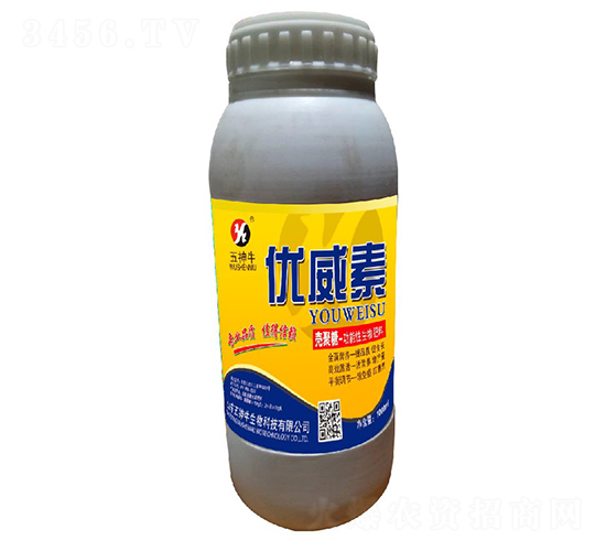 �������������-��(y��u)����-����ţ