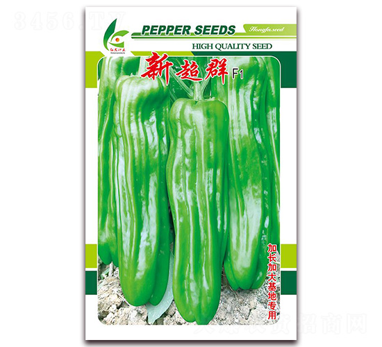 �³�Ⱥ-��Ƥ�ݽ��N��-�t�l(f��)�N�I(y��)