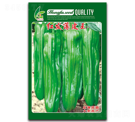 �t�l(f��)��Ƥ��-��Ƥ�ݽ��N��-�t�l(f��)�N�I(y��)