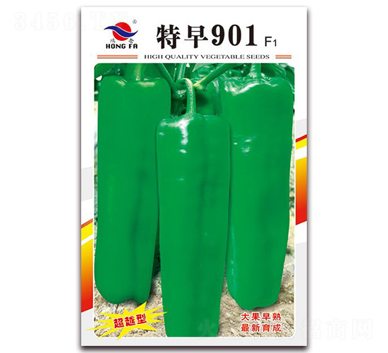 ����901-��Ƥ�ݽ��N��-�t�l(f��)�N�I(y��)