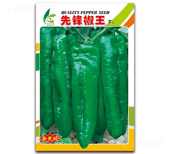 ���h����-��Ƥ�ݽ��N��-�t�l(f��)�N�I(y��)