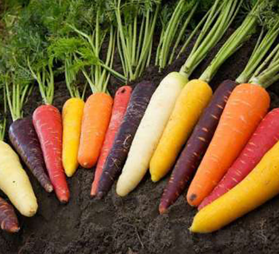 �}���N��-��ϣ��