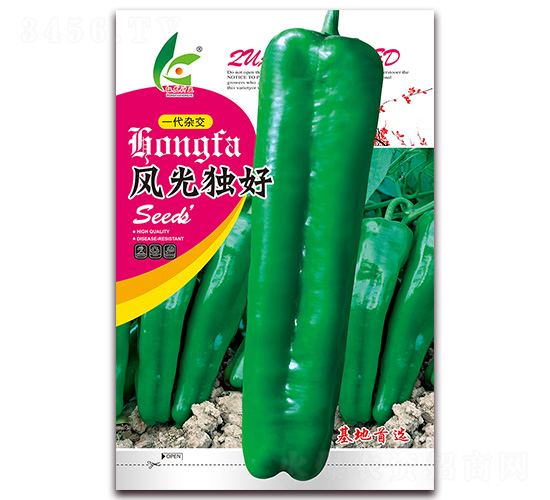 �L(f��ng)�⪚��-��Ƥ�ݽ��N��-�t�l(f��)�N�I(y��)