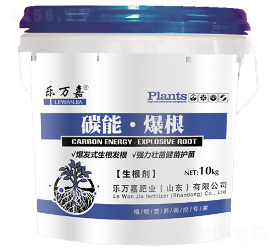 ������-̼�ܡ�����-���f��