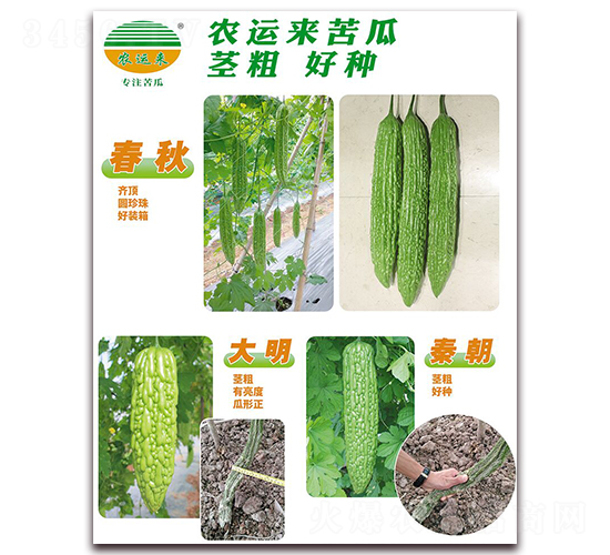 ����+����+�س�-��ϷN��-�r(n��ng)�\��