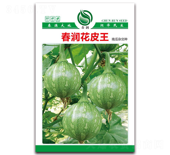 春潤花皮王-南瓜種子-春潤種業(yè)