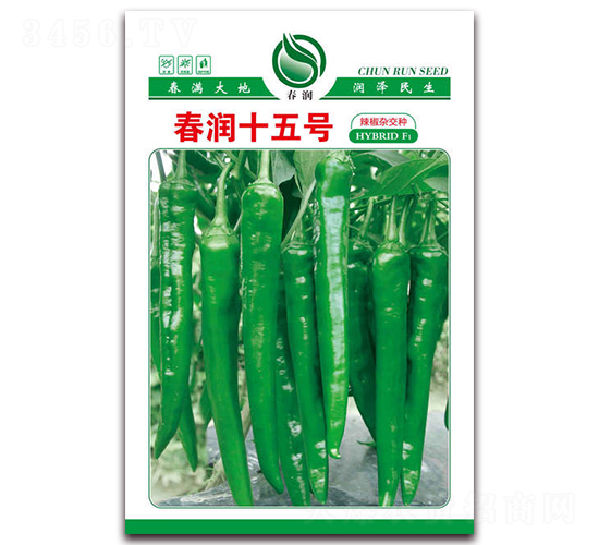 ����ʮ��̖(h��o)-�����N��-�����N�I(y��)