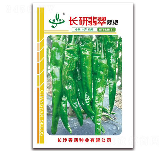 �L�����-�����N��-�����N�I(y��)