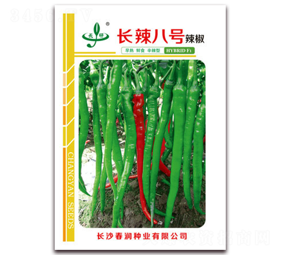 長辣八號-辣椒種子-春潤種業(yè)