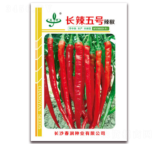 長(zhǎng)辣五號(hào)-辣椒種子-春潤(rùn)種業(yè)
