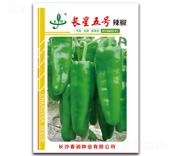 �L����̖-�����N��-�����N�I(y��)