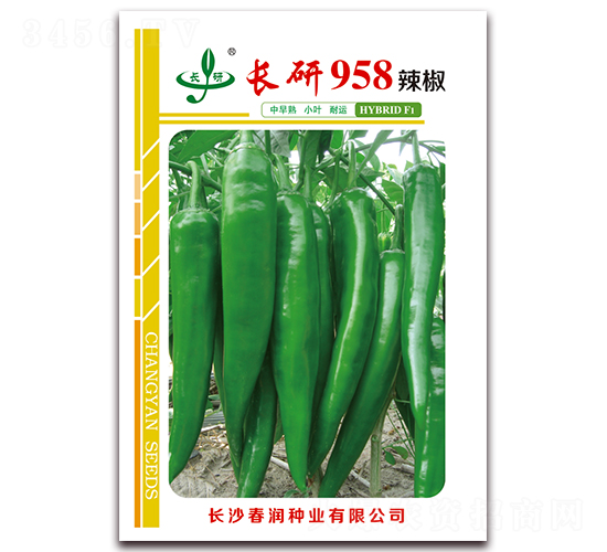 �L��958-�����N��-�����N�I(y��)