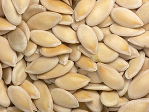 �S�ϷN��-�r(n��ng)����