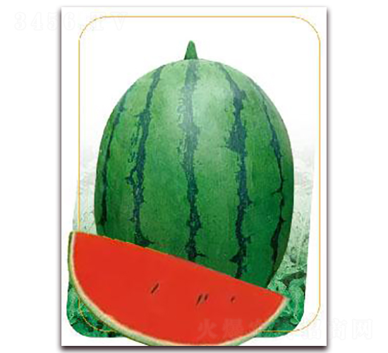 ���t-���ϷN��-����(y��u)�r(n��ng)�I(y��)