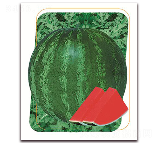 ����-���ϷN��-����(y��u)�r(n��ng)�I(y��)