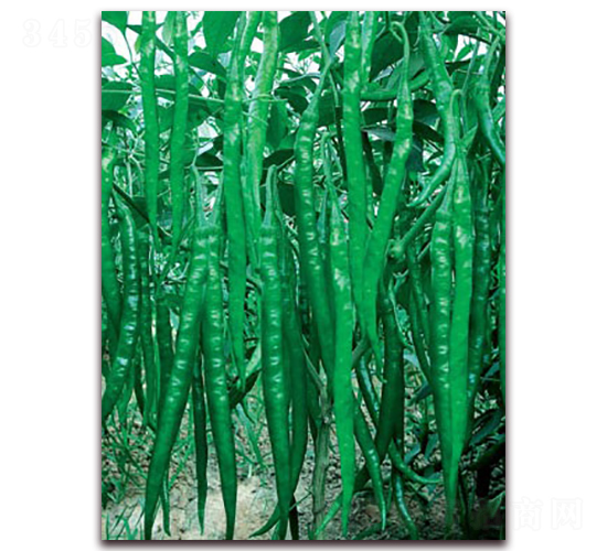 ����(y��u)��̖(h��o)-�����N��-(li��n)�S�N�I(y��)