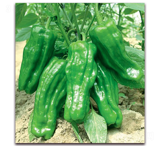 (li��n)�S��Ʒ��̖-�ݽ��N��-(li��n)�S�N�I(y��)